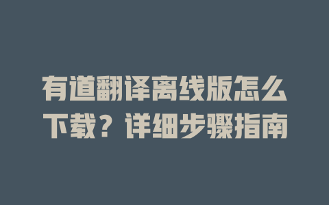 有道翻译离线版怎么下载？详细步骤指南 一