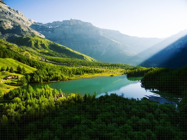 有道翻译下载安装安卓全流程讲解2025年最新版 二