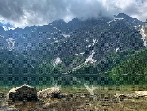 有道翻译离线下载指南+平板使用技巧 二