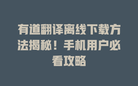 有道翻译离线下载方法揭秘！手机用户必看攻略 一