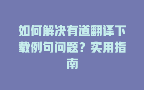 如何解决有道翻译下载例句问题？实用指南 一
