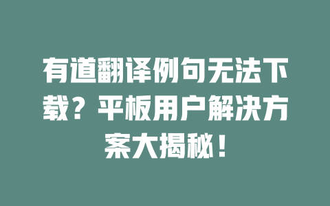 有道翻译例句无法下载？平板用户解决方案大揭秘！ 一