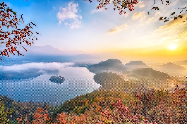 有道翻译下载语音安卓教程+最新版安装指南 二