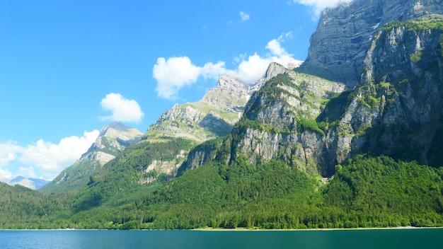 有道翻译下载对话电脑+实用攻略2023 二