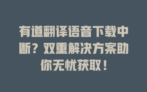 有道翻译语音下载中断？双重解决方案助你无忧获取！ 一
