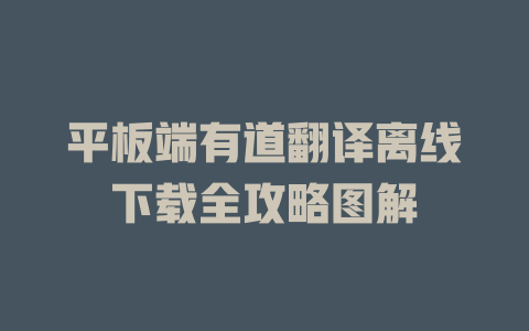 平板端有道翻译离线下载全攻略图解 一